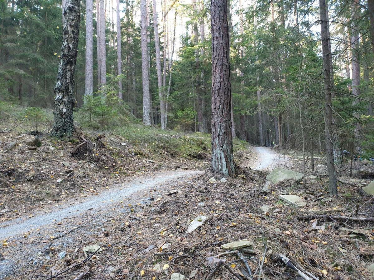 Lipno Nad Vltavou - Apartman 23 - Wifi, Parking, Netflix Exterior foto