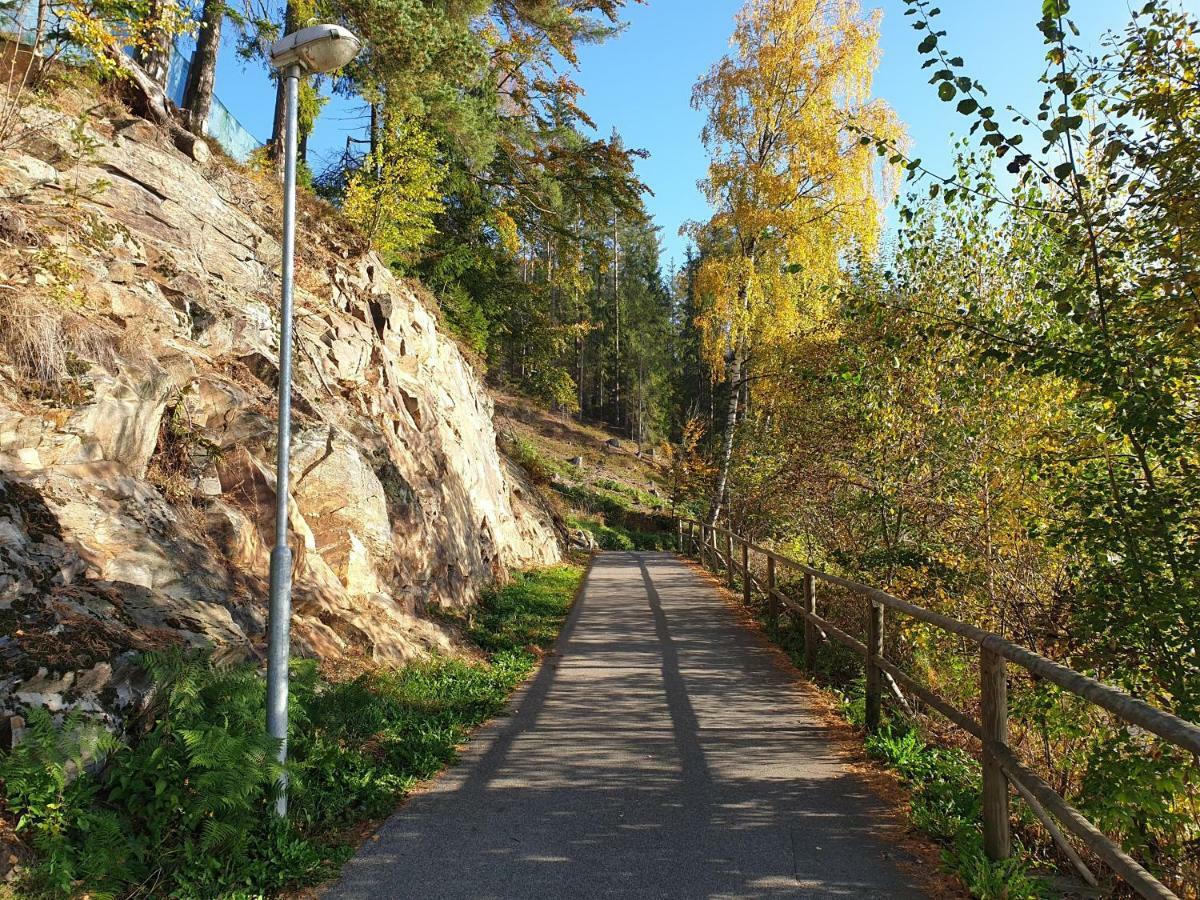 Lipno Nad Vltavou - Apartman 23 - Wifi, Parking, Netflix Exterior foto